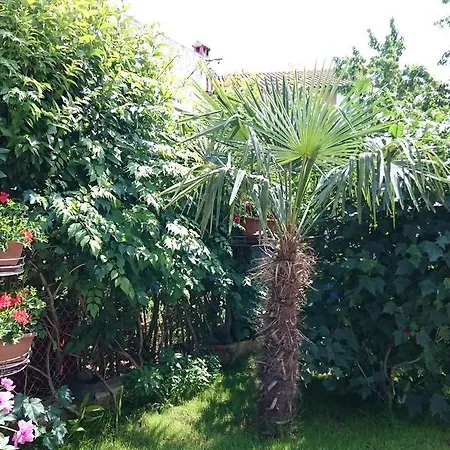 Jaklin Appartement Rovinj