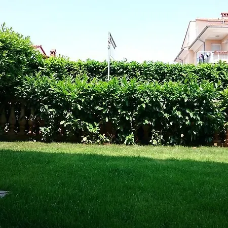 Jaklin Ρόβινι